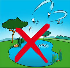 Avoid stagnant water. Stagnant water creates room for the breeding of mosquitoes.